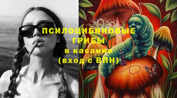 сатива Балахна