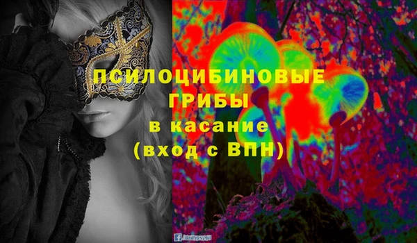 мяу мяу мука Баксан