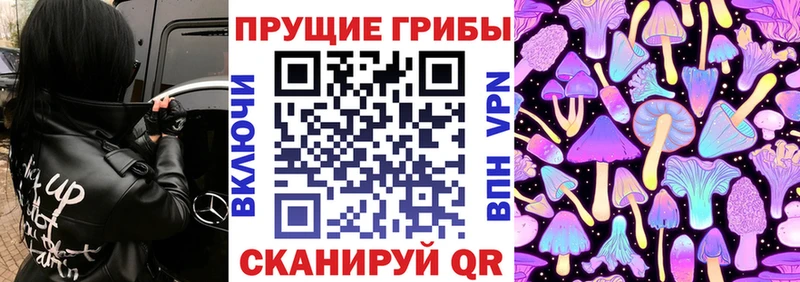 Псилоцибиновые грибы Psilocybe  Белоусово 